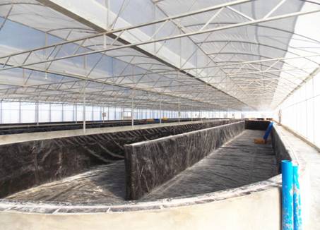 養殖車間內景1